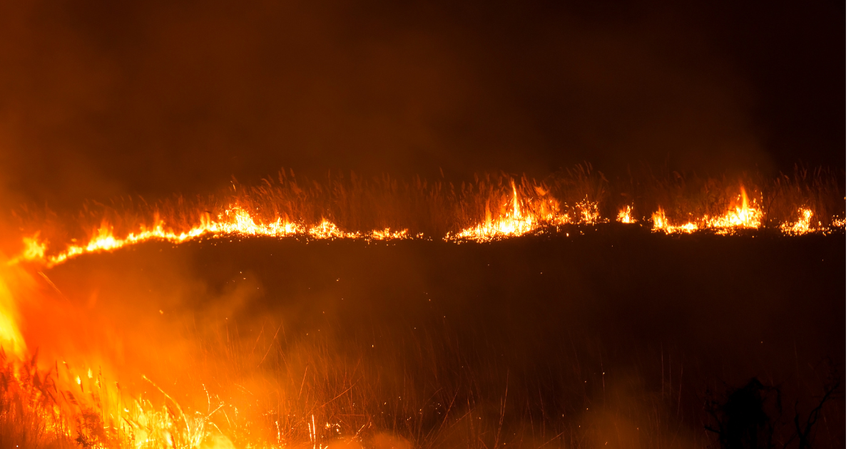 Wildfire response must match the reality on the ground